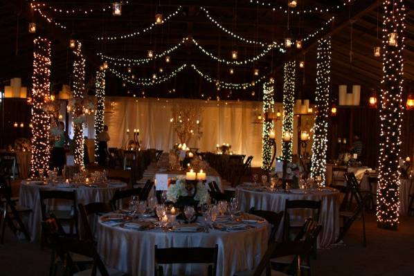 Wedding reception setup