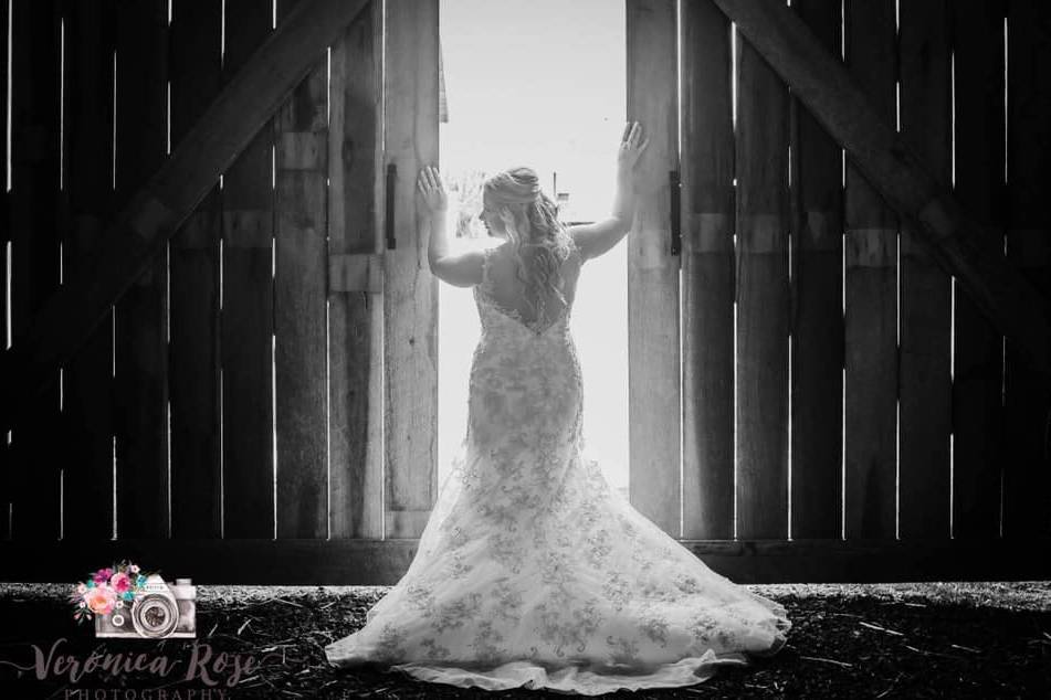 Bride Silhouette