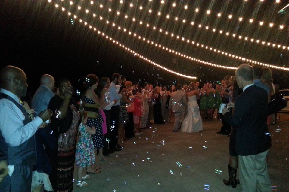 Wedding