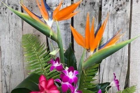 Tropical florals