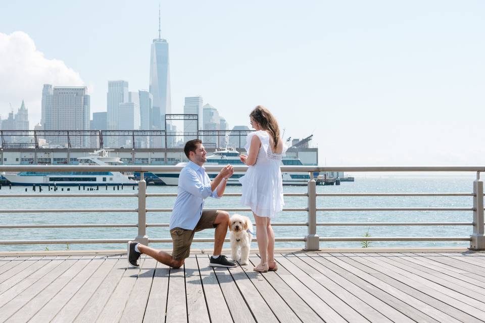 Surprise proposal at Pier 45