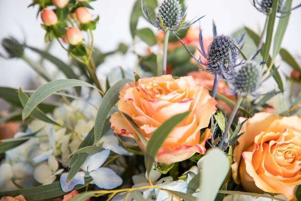 Orange flowers | ARWhite Photography