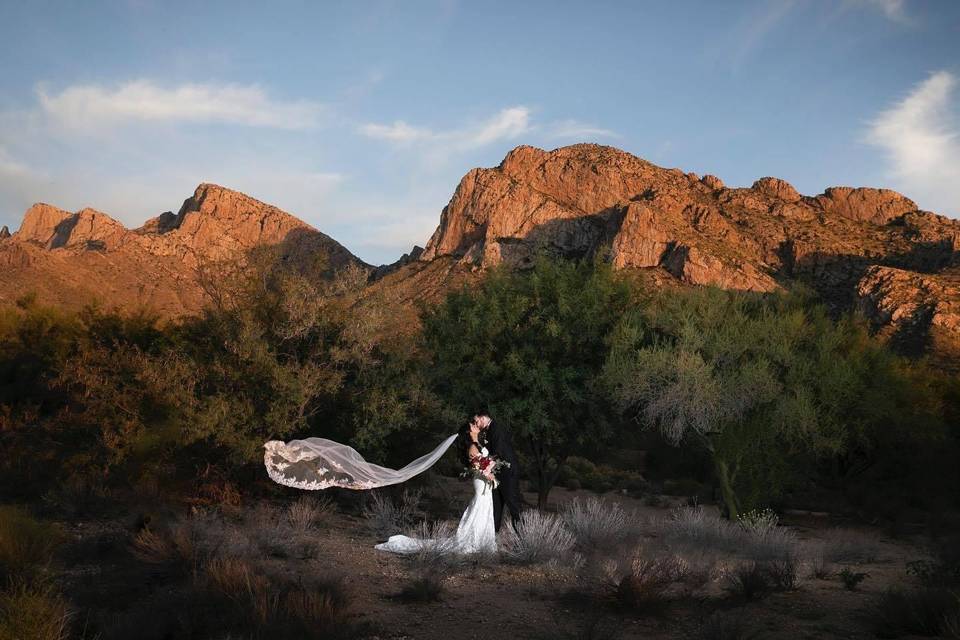 Bride Groom and veil