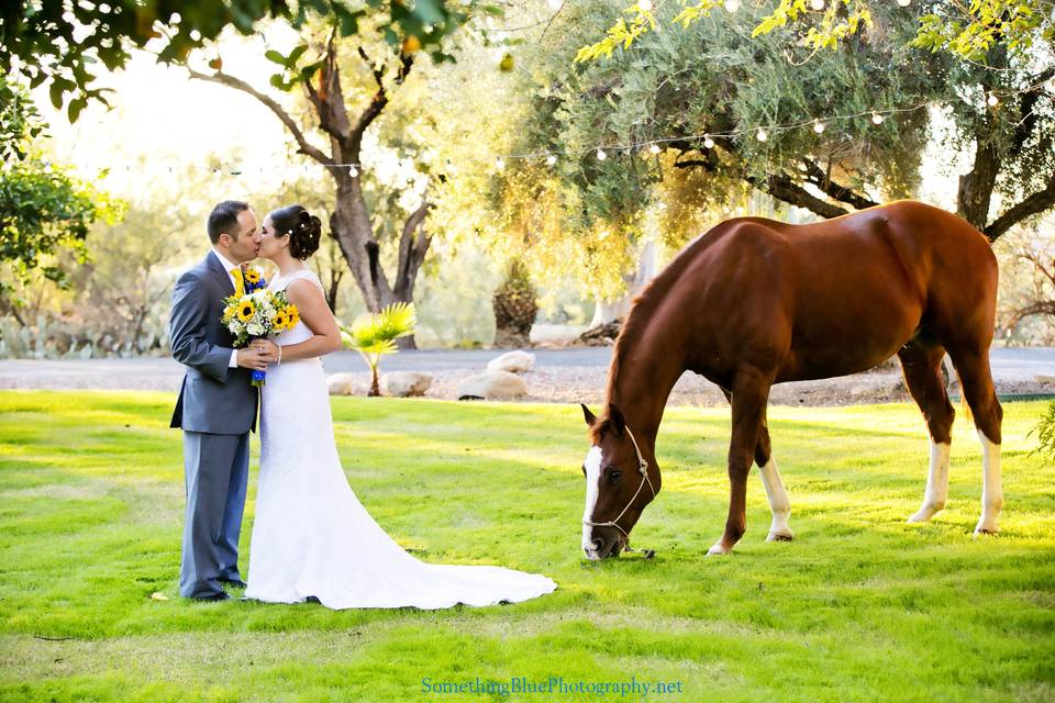The ranch wedding
