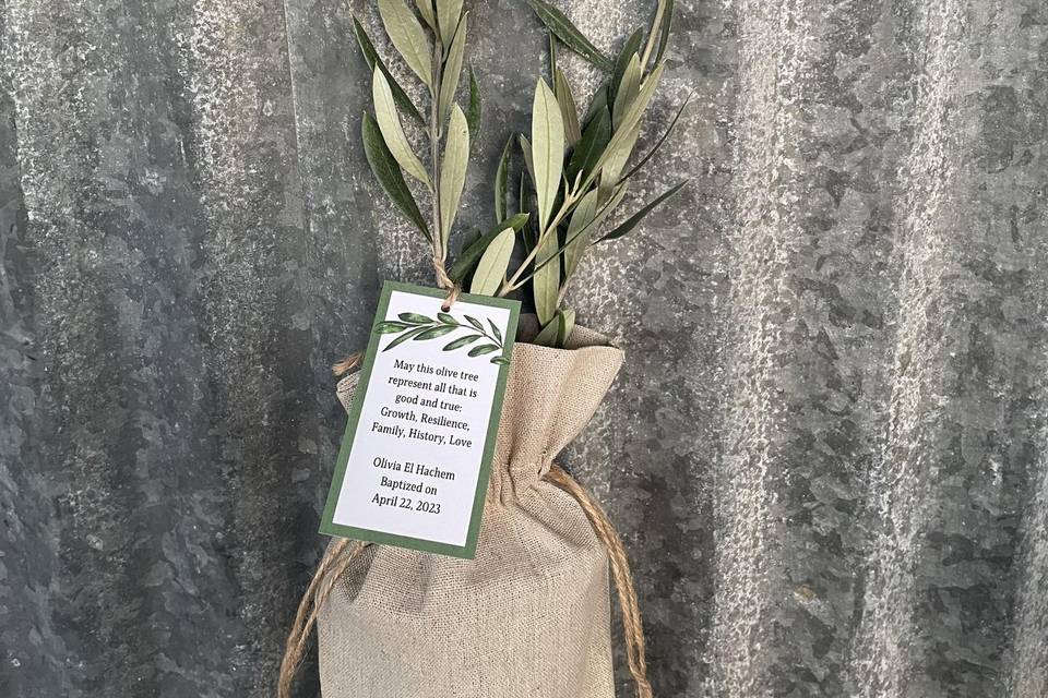 Single Olive Tree with Card
