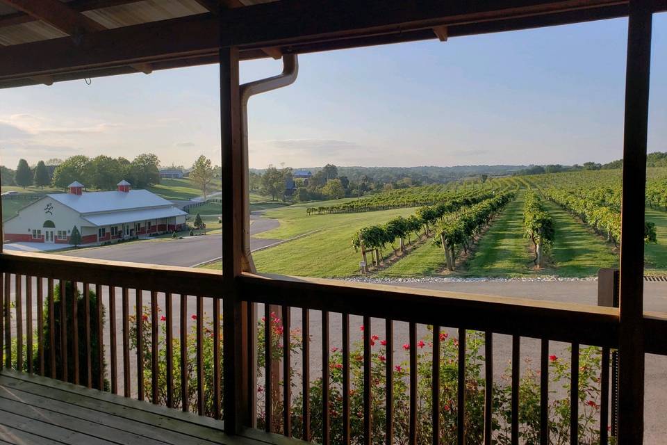 View from Porch