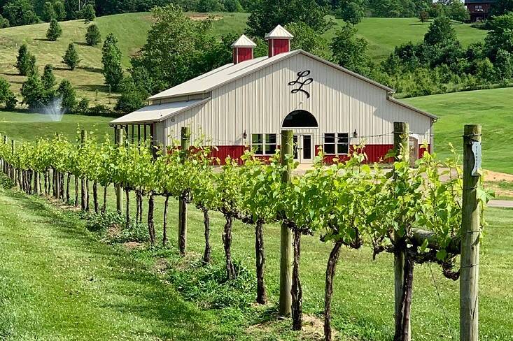 Vines and Pavillion