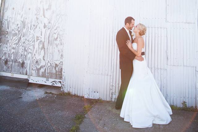 Wren Photography