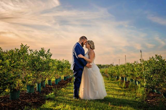 Blueberry Fields