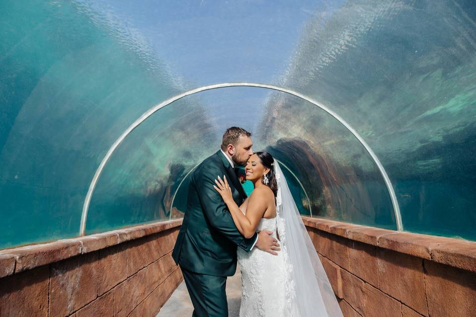 Bride & Groom