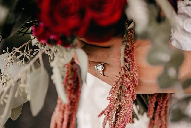 Kristin Brown Photography