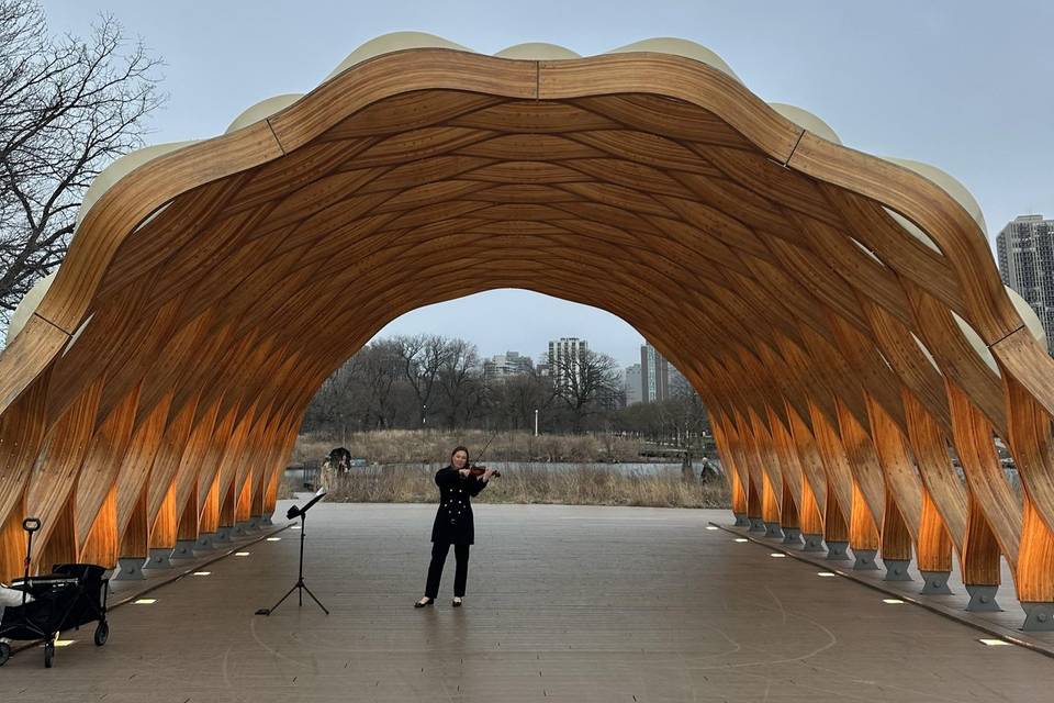 Honeycomb Proposal