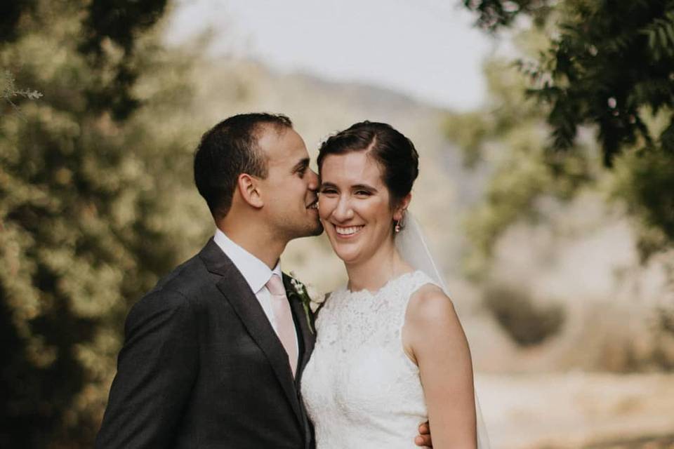 Healdsburg wedding