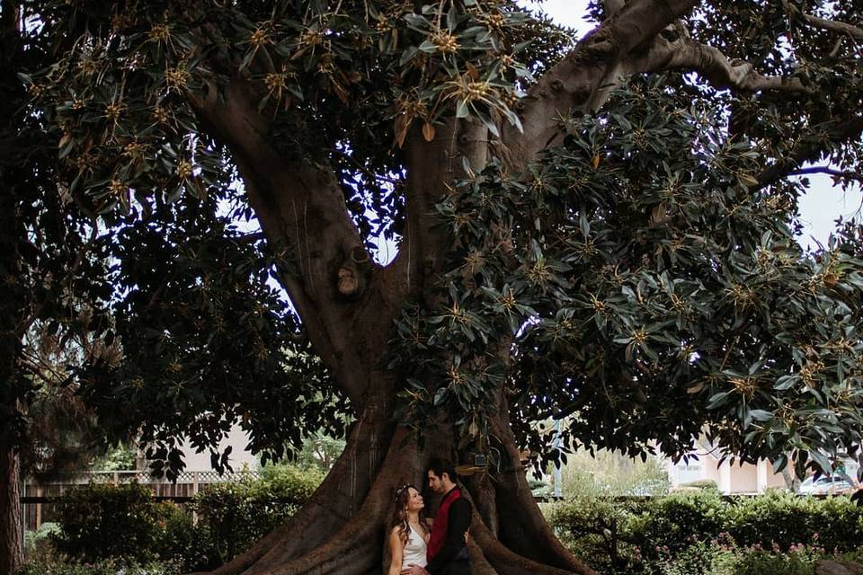 Bay Area Elopement