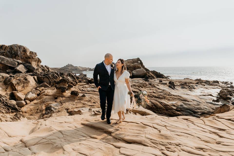 Sonoma coast elopement