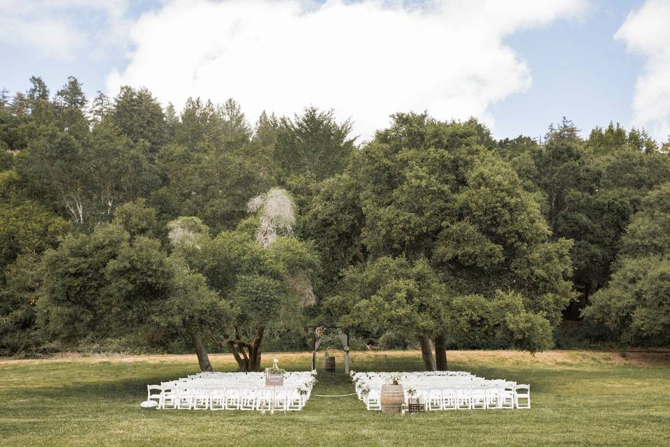 Outdoor wedding/Roaring Camp