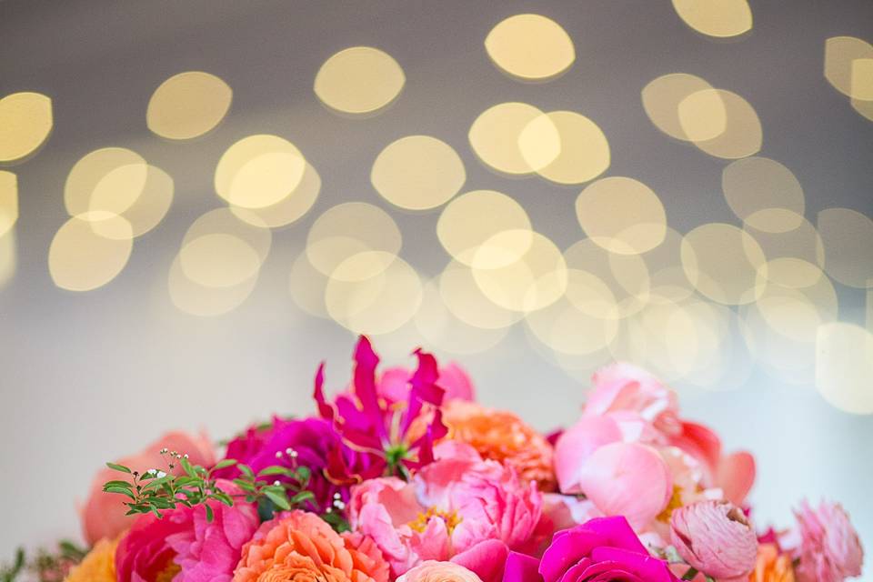 Bright & beautiful