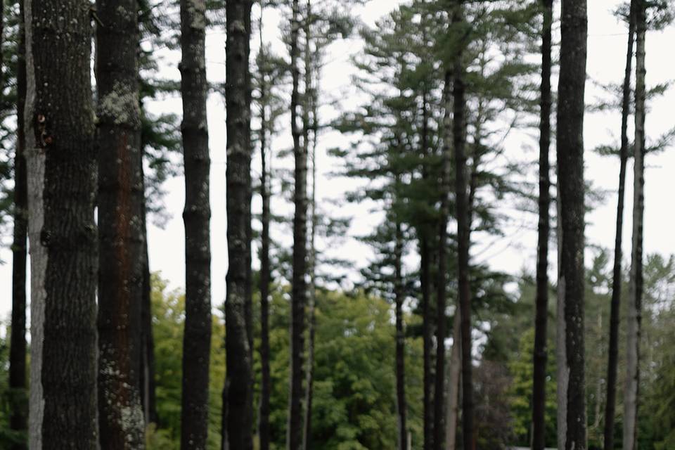 The Lodge at Schroon Lake