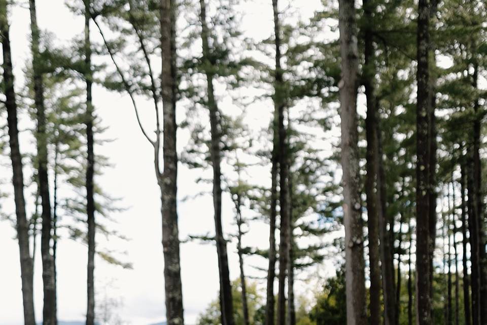 The Lodge at Schroon Lake