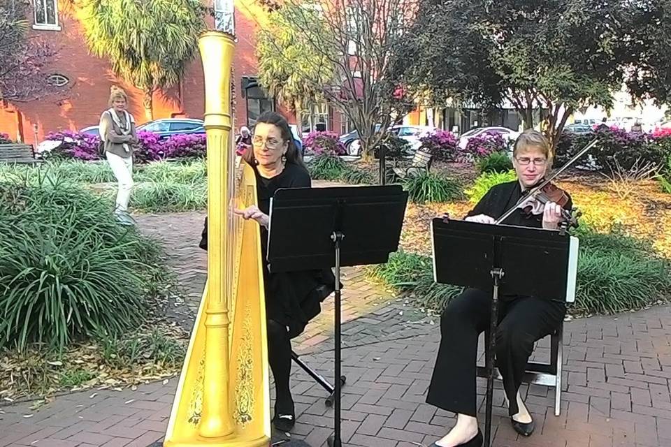 Yellow instrument