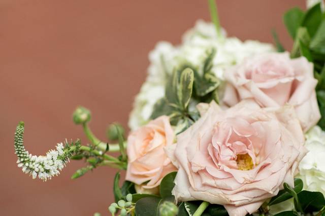 Table setup with centerpiece