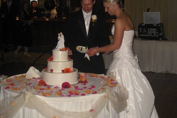 Couple cake cutting