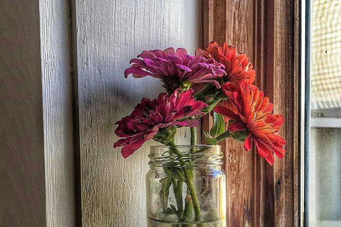 Flowers by the windowsill