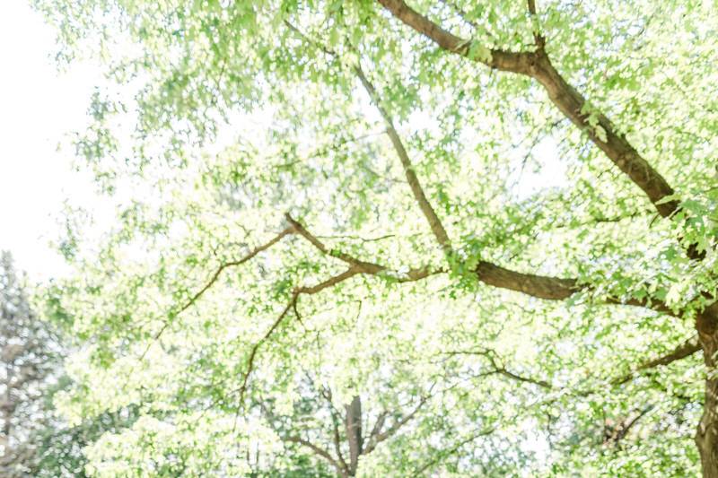 Rochester New York Wedding