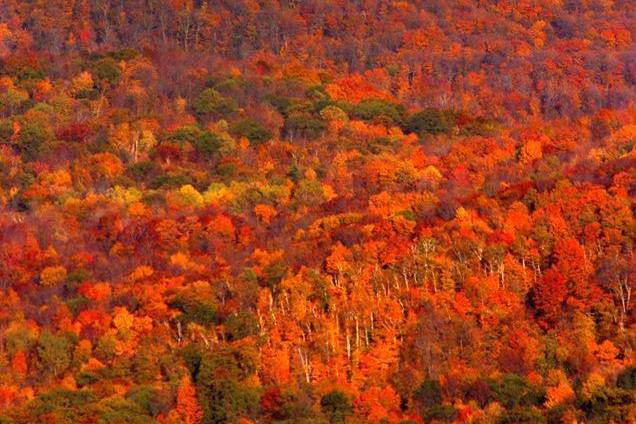 Vermont Late Fall