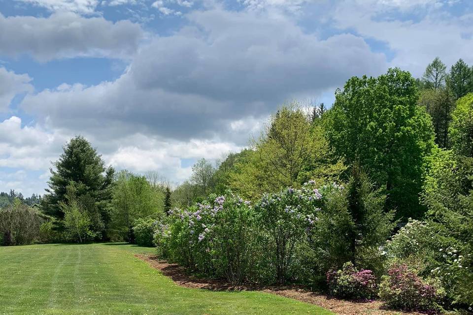 Landscape on property