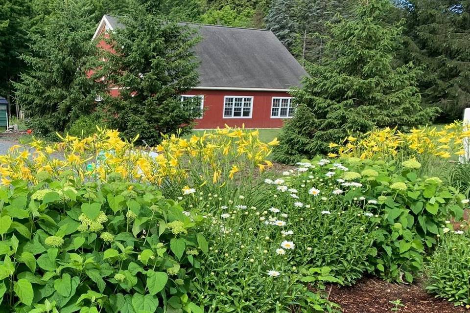 Landscape on property