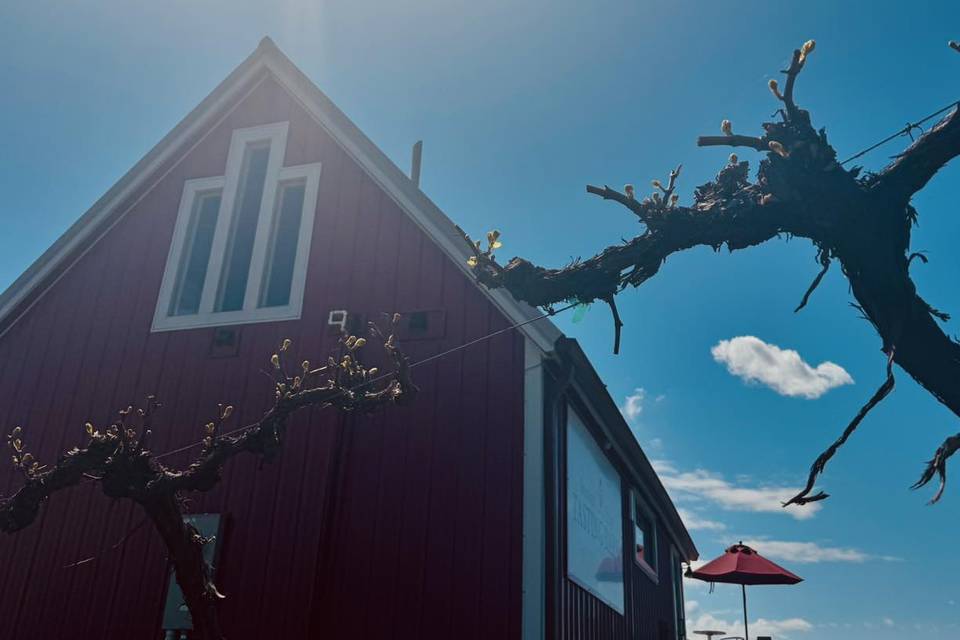 Shawnee Bluff Vineyard