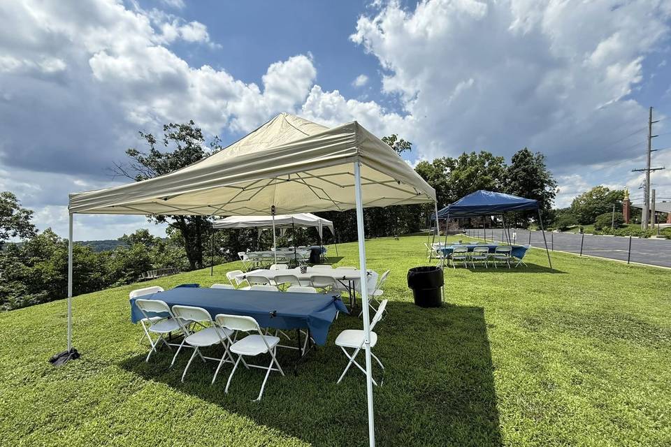 Shawnee Bluff Vineyard