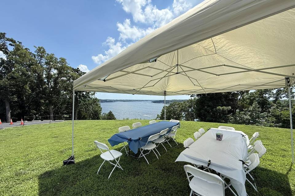 Shawnee Bluff Vineyard