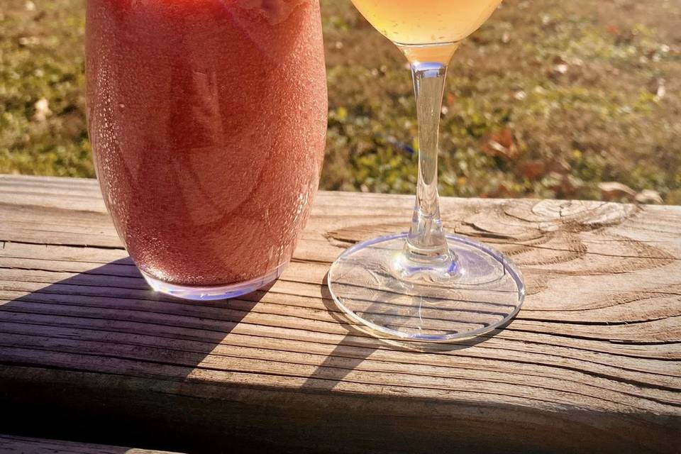 Shawnee Bluff Vineyard