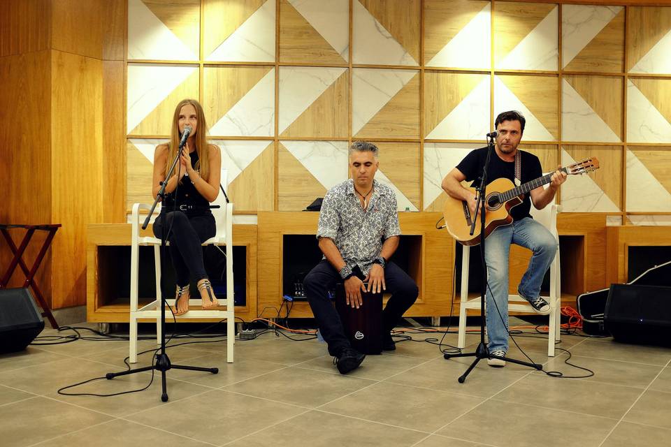 Acoustic performers