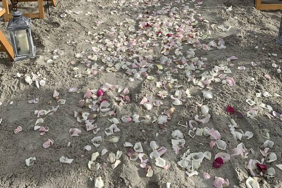 Flowers petals and sand!