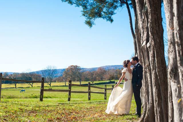 Ashley Brody Photography