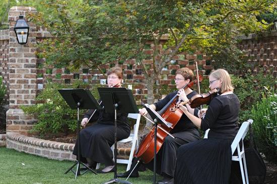 Our string trio of violin, viola and cello play a variety of classical, broadway and some contemporary songs for your beautiful wedding