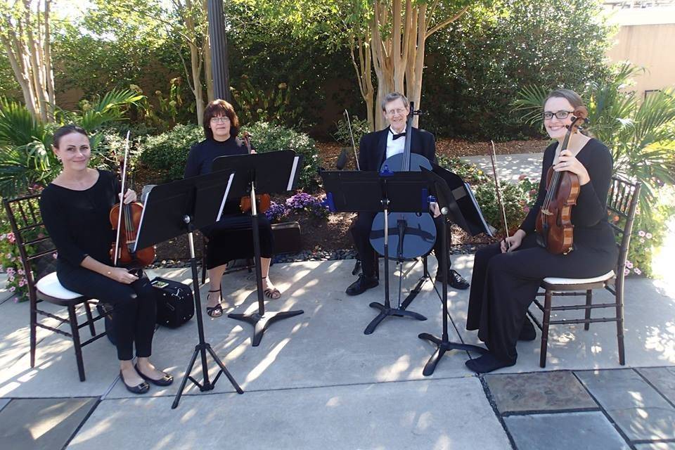 Wedding musicians