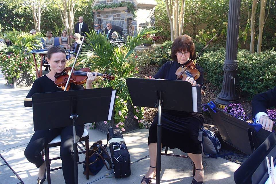 Wedding musicians