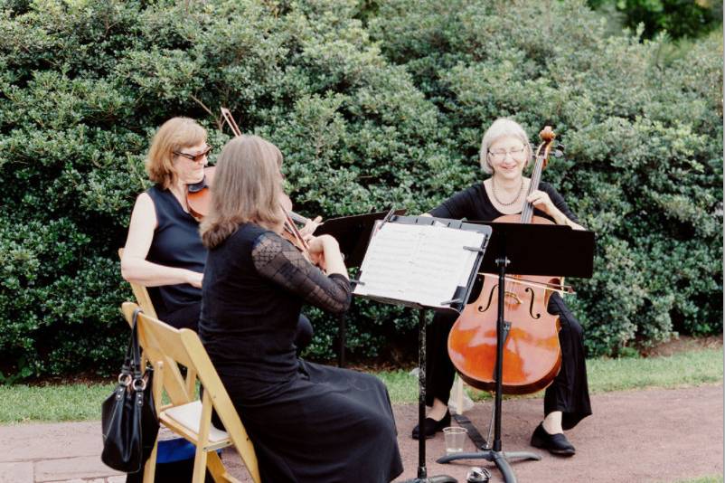 Wedding musicians