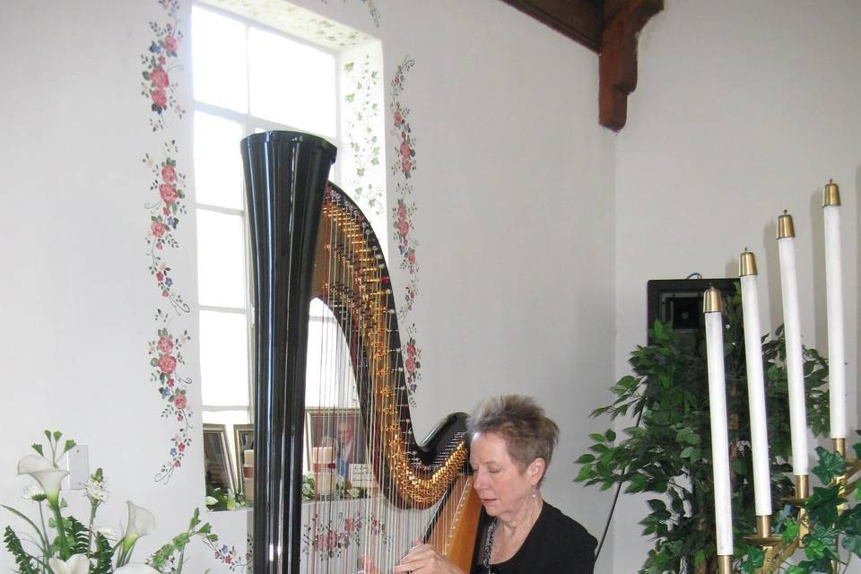 Harpist