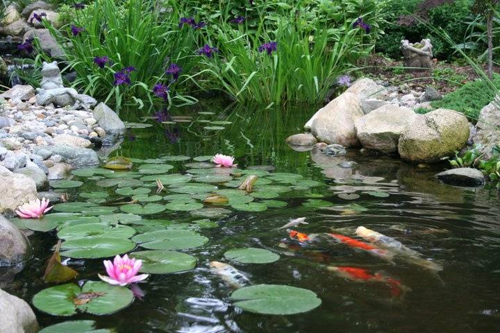 Relaxing water feature