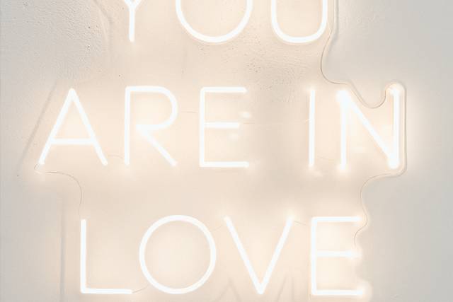 You are in love neon sign