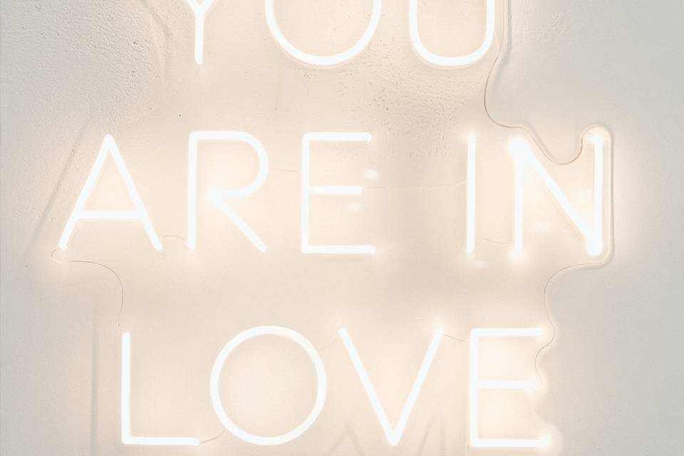 You are in love neon sign