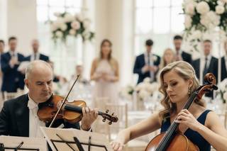 Standing Violinist