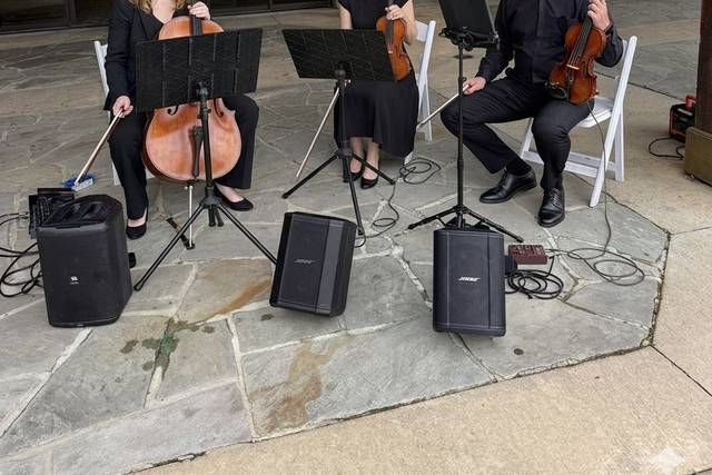 Asheville Trio Corporate Event