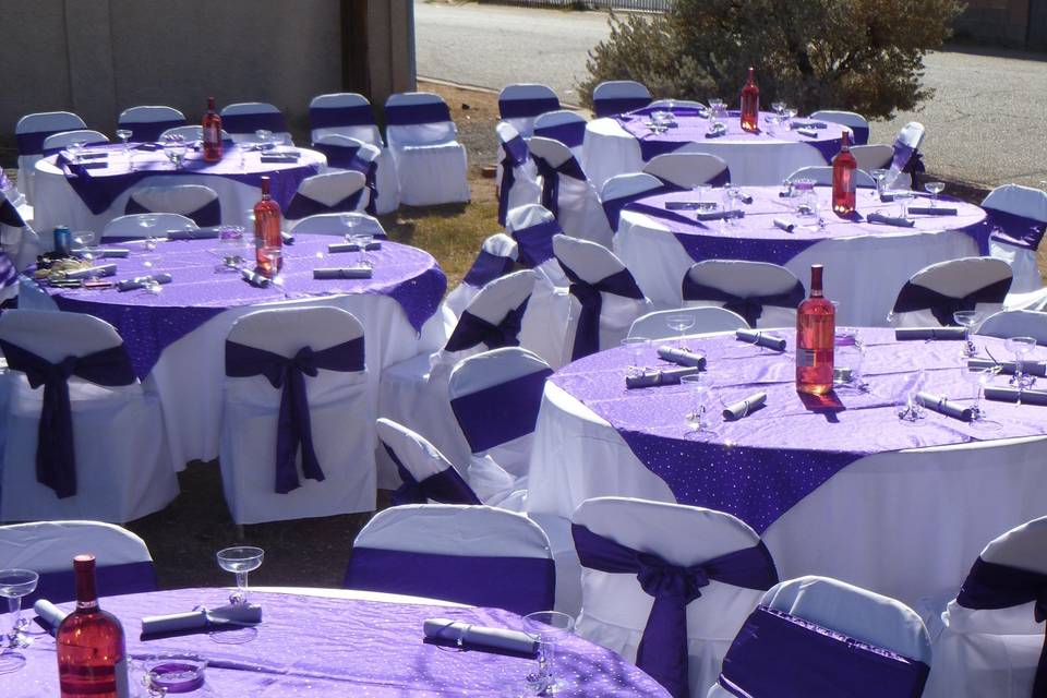 Party Rentals AZ