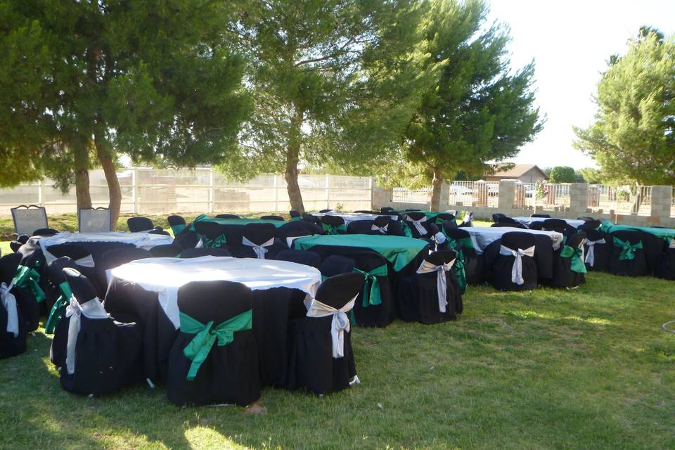 Party Rentals AZ